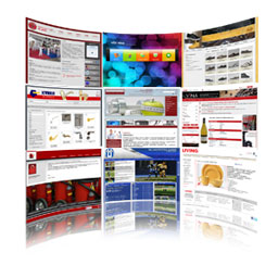 Standard web